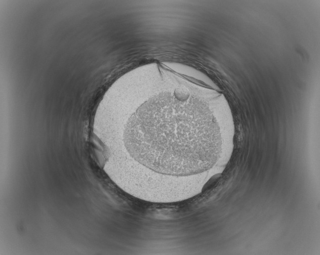 X0000111200368200908121115