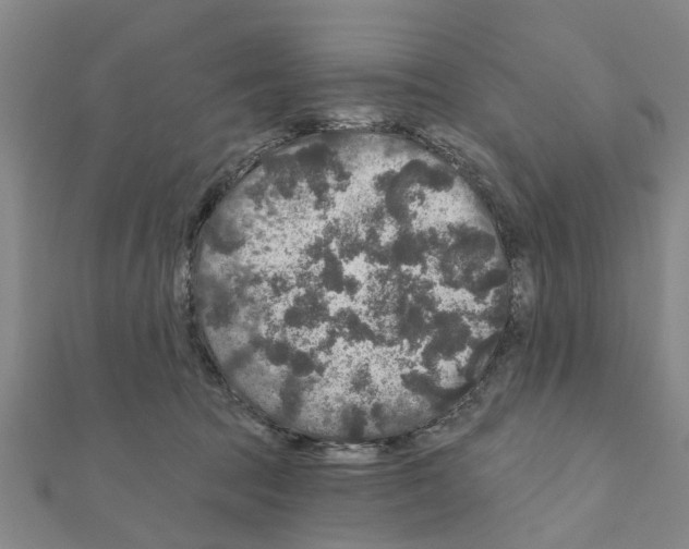 X0000111200369200908121115