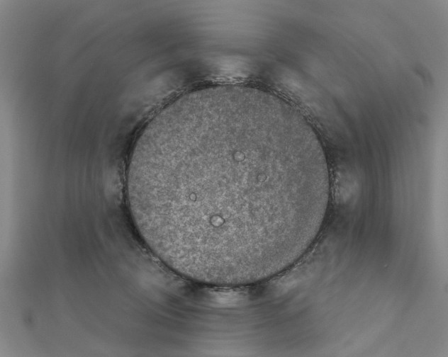 X0000111200370200908121115