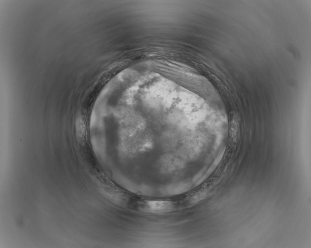 X0000111200371200908121115