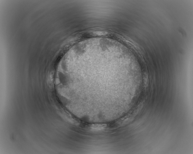 X0000111200373200908121115