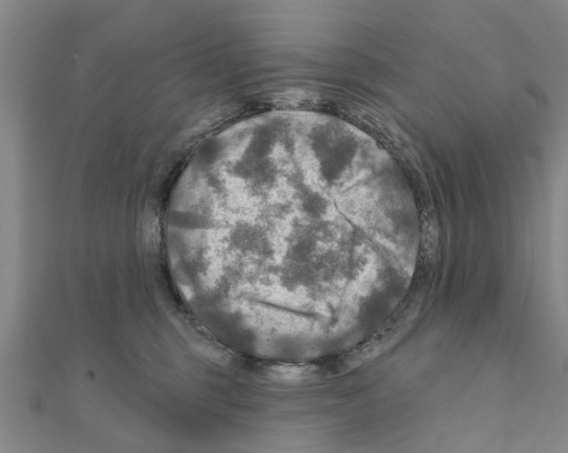 X0000111200375200908121116