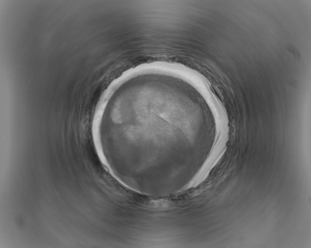 X0000111200376200908121116