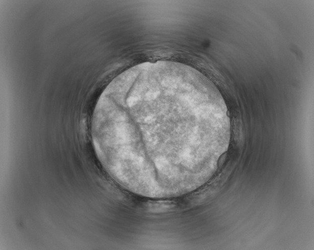 X0000111200378200908121116