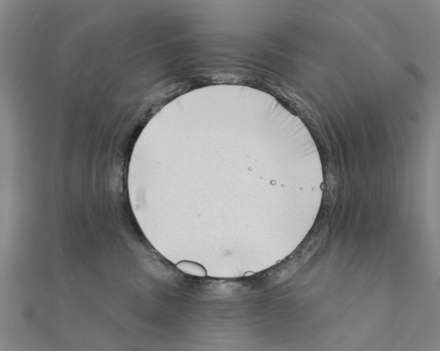 X0000111200379200908121116