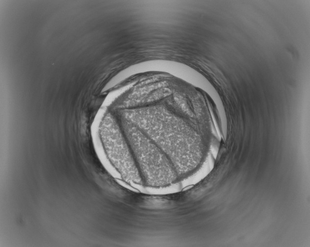 X0000111200380200908121116