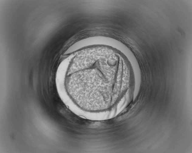 X0000111200382200908121116