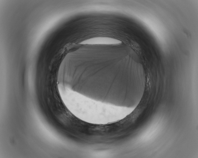 X0000111200383200908121116