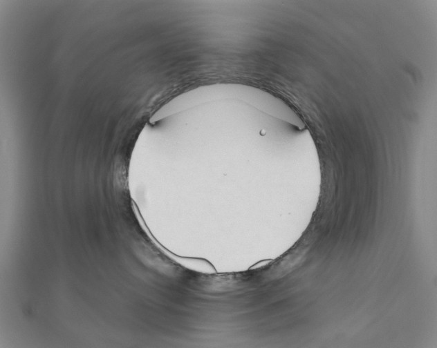 X0000111200384200908121116