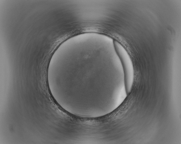 X0000111200385200908121115