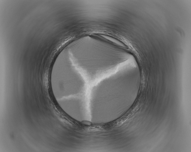 X0000111200386200908121115