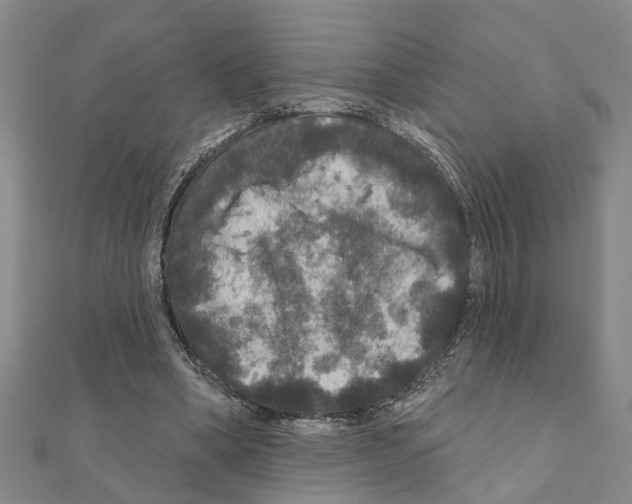 X0000111200394200908121115