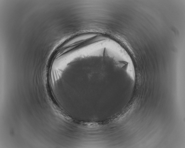 X0000111200395200908121115