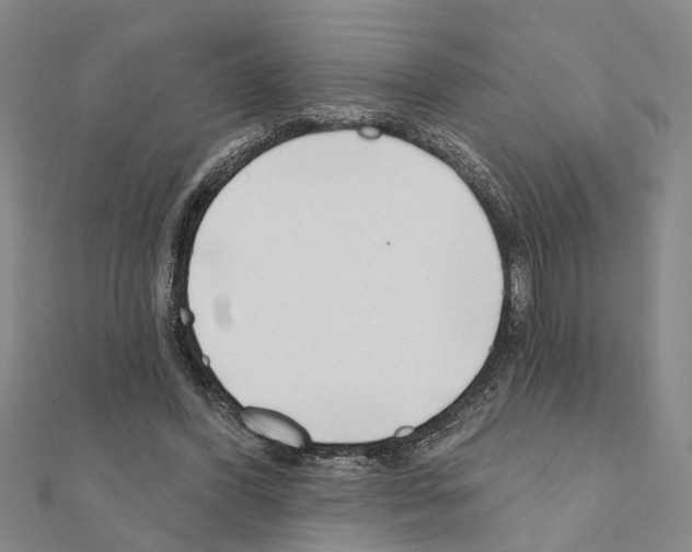 X0000111200396200908121115