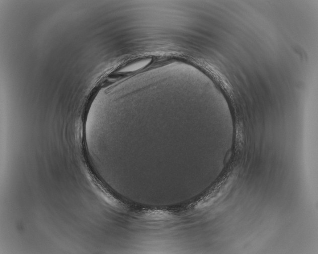 X0000111200397200908121115