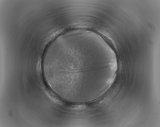 X0000111200398200908121115