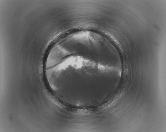 X0000111200399200908121115