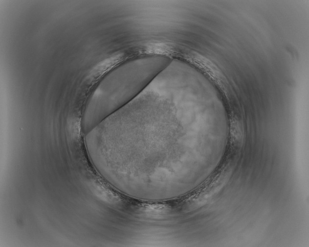 X0000111200401200908121115