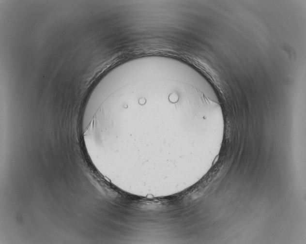 X0000111200405200908121115