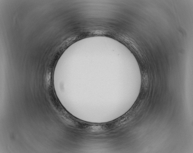 X0000111200406200908121115