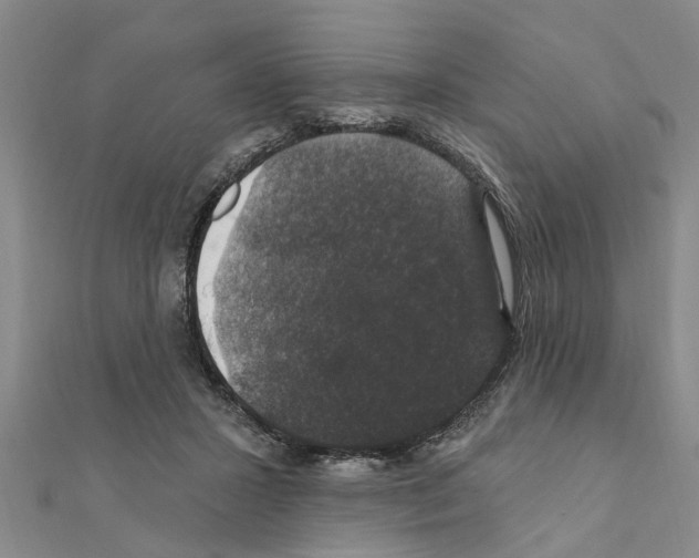 X0000111200407200908121115