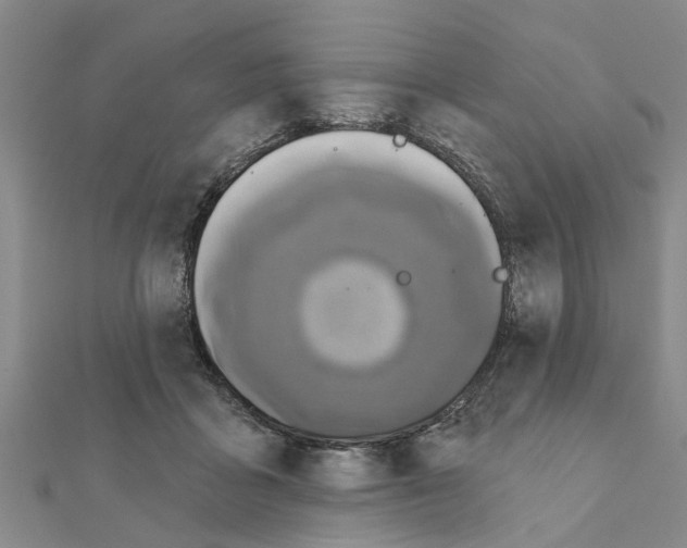 X0000111200411200908121115