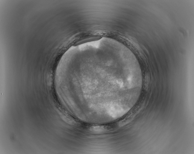 X0000111200413200908121115