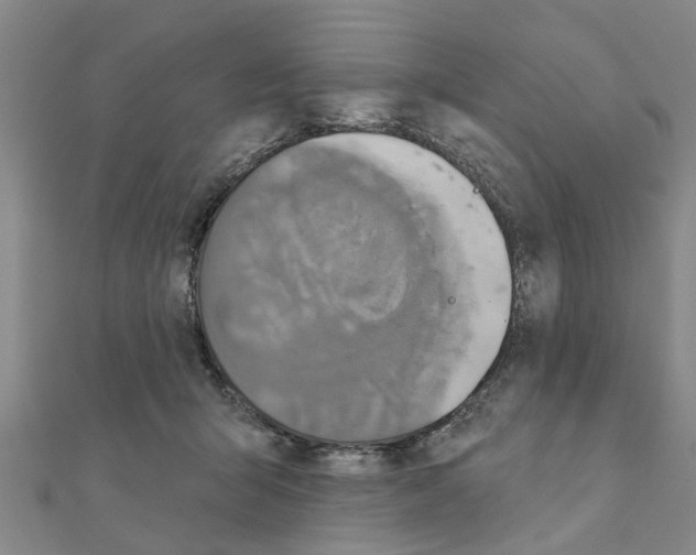 X0000111200415200908121114