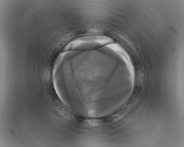 X0000111200417200908121114