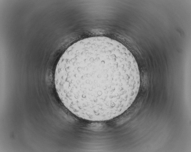 X0000111200418200908121114