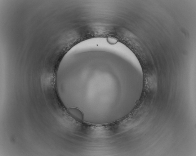 X0000111200419200908121114