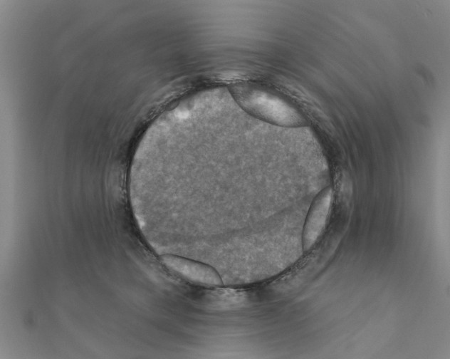 X0000111200421200908121114