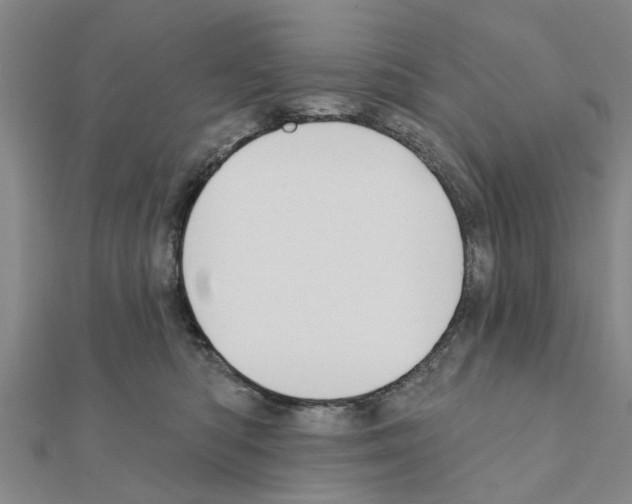 X0000111200422200908121114