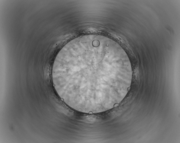 X0000111200423200908121114