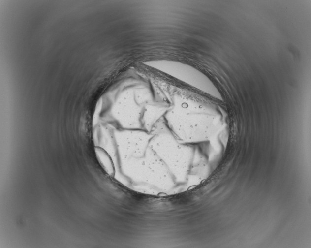 X0000111200424200908121114