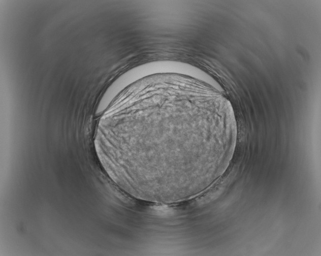 X0000111200425200908121114