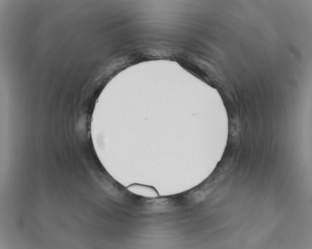 X0000111200428200908121114