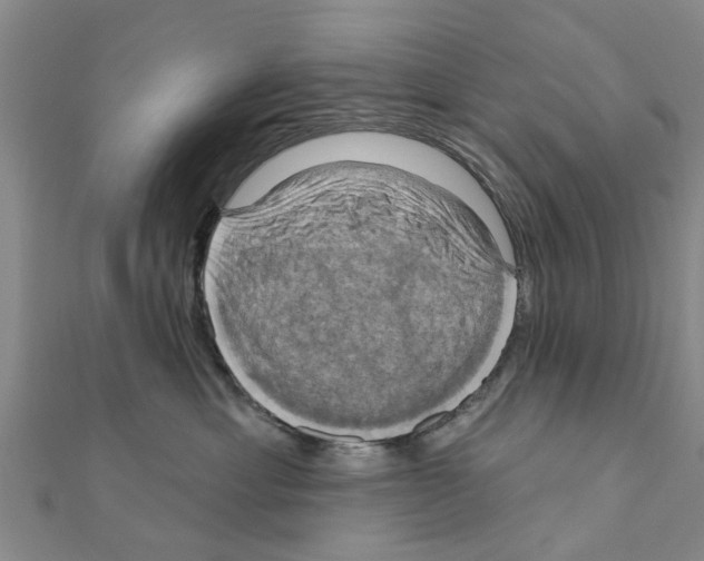 X0000111200429200908121114