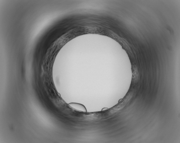 X0000111200430200908121114