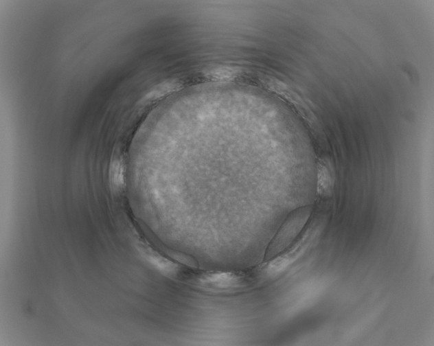 X0000111200431200908121114