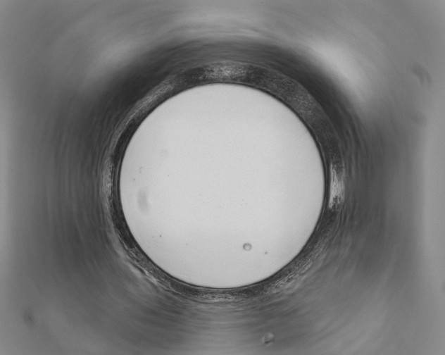 X0000111200435200908121114