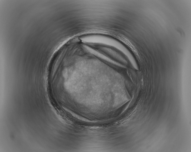 X0000111200436200908121114