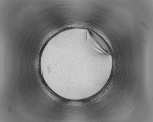 X0000111200437200908121114