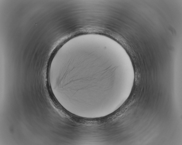 X0000111200438200908121114