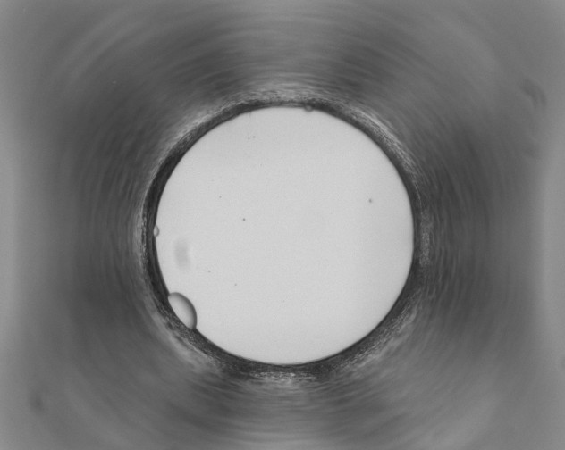 X0000111200439200908121114