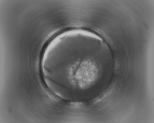 X0000111200440200908121114