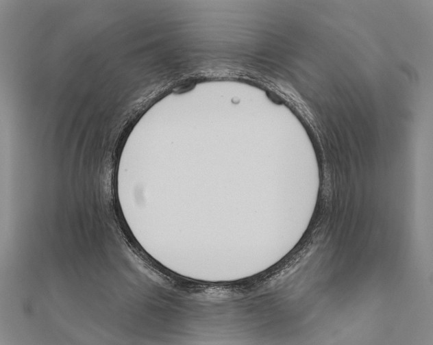 X0000111200441200908121114