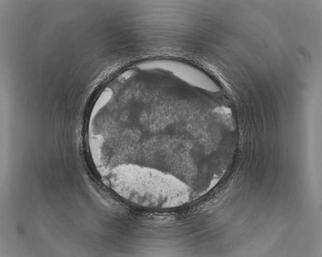 X0000111200443200908121114