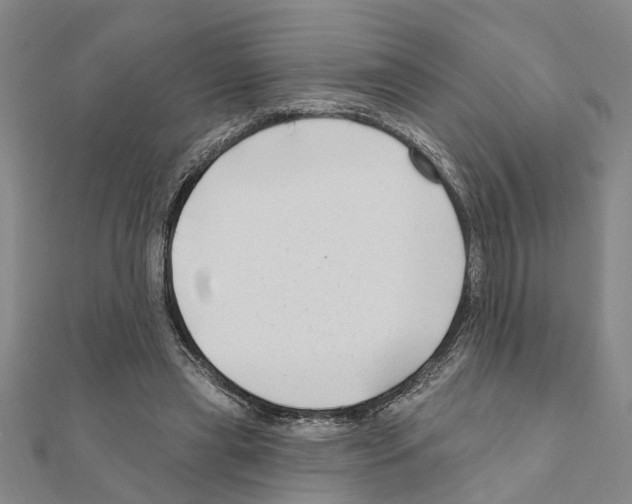 X0000111200445200908121114