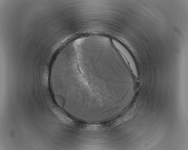 X0000111200446200908121114